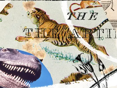 Sapiens book illustration collage collageart illustration photomontage sapiens