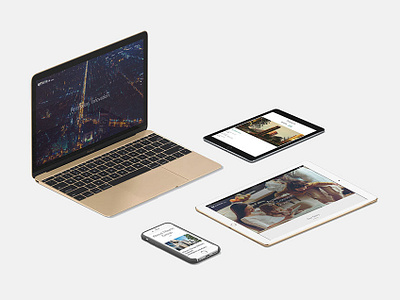 Mayrin Group Australia design ui web