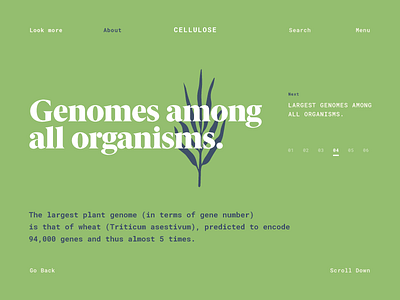 CELLULOSE — About 0.1 artdirection building case study concept daily homepage interaction typography userexperience