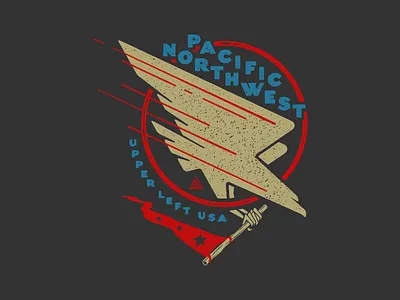 Pnw Eagle eagle patriotic pnw shirt