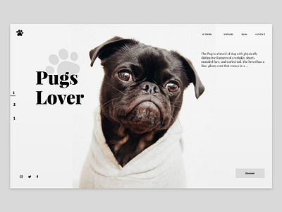 Pugs Lover daily landing page adobexd dailyui landingpage pugs ui ux