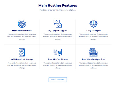 Hosting Features blue features hosting icons website