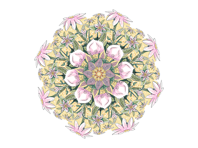 Flower Garden daisy design flower garden green growth happy illustration pink symmetry
