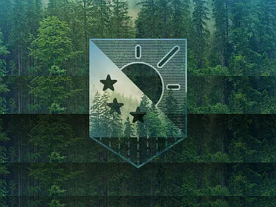 Natural Shield brand identity branding graphic design illustration logo