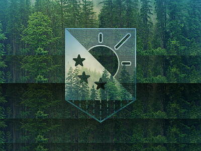 Natural Shield brand identity branding graphic design illustration logo