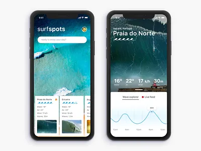 Surf beaches/spots reporting app app beach cards graph ios sea surf ui ux