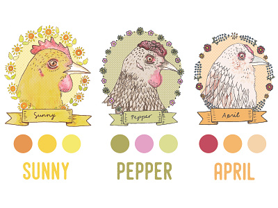 Cackleyard Farms chicken design eggs illustration