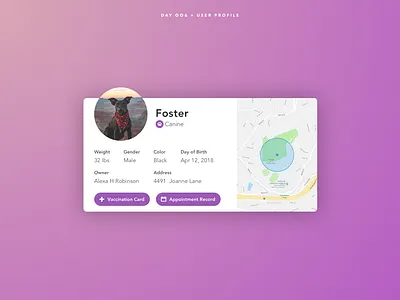 Day 006 - User Profile daily dog ui user profile veterinarian
