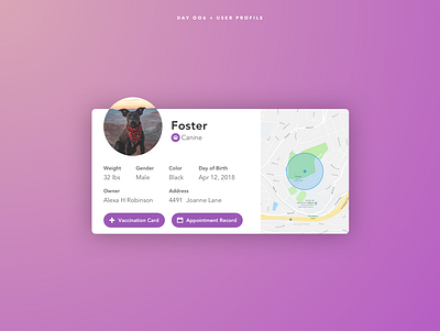 Day 006 - User Profile daily dog ui user profile veterinarian