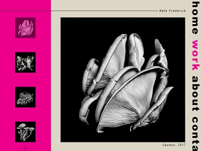 Photographer's portfolio graphic design photoshop portfolio ui web design