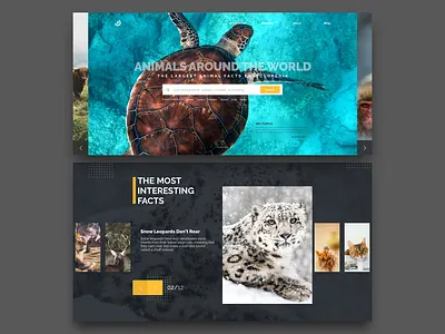 Landing Page Shot - Daily UI #003 animals carousel dailyui explore hero homepage interaction landing page search slider ui ux web webdesign
