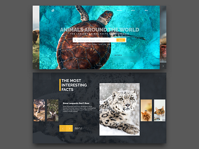 Landing Page Shot - Daily UI #003 animals carousel dailyui explore hero homepage interaction landing page search slider ui ux web webdesign