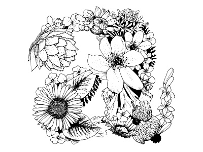 Hand Ilustrated Flowery Letter 'a' black and white botanical clarendon drawing flowers hand drawn illustration ink and paper lettering type