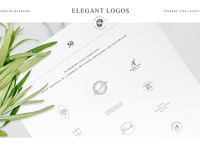 50 Elegant Premade Logo Templates branding collection design elegant feminine high end logo minimal pawellpi premium the bundle typography