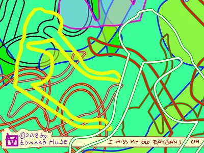 I miss my old RayBans design digital edhuse illustration line drawing raybans sunglasses