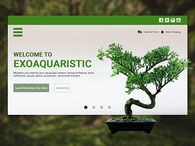 Exoaquaristic Mockup bonzai branding design ecommerce hero banner illustration mockup plant product showcase ui ux web webdesign webdesigner webdevelopment webmockup