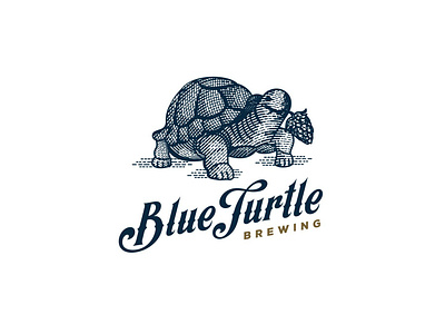 Blue Turtle beer beer branding custom lettering hops illustration logo design turtle vintage