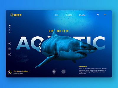 Aqua Reef - Life in The Aquatic (Landing page concept) aquatic branding creativity dailyui design graphic design illustraion interface landing page national geography reef sea ui ui ux ui ux design uidesign ux vector webdeisgn wild