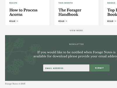 Forage Notes Blog blog branding editorial green grey illustration interface layout serif ui website