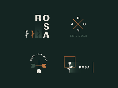 Rosa R Brand Elements branding identity logo premium rosa rose