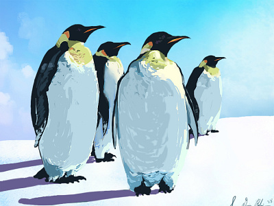 Penguins digital painting illustration painting penguins