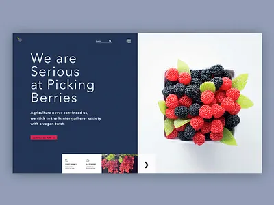 Berry agency beautiful beauty creative creativeagency design