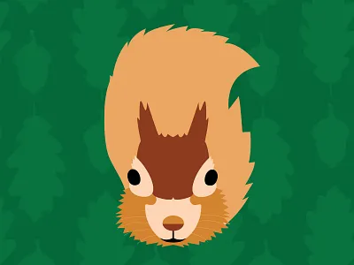 Squirrel illustration animal forest illustation squirrel wood