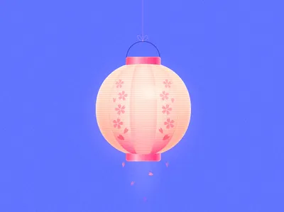 lantern illustration lantern light sakura