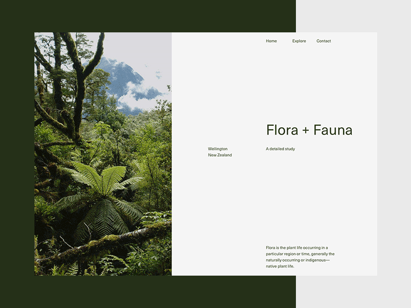 Flora + Fauna Landing Page Layouts gif green grid grid layout homepage landingpage modern new zealand simple swiss travel typography ui