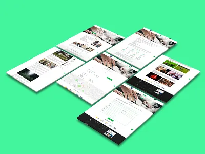 PAYROLL - website clean cracow green kraków pay payroll ui ux webdesign webdesigner website