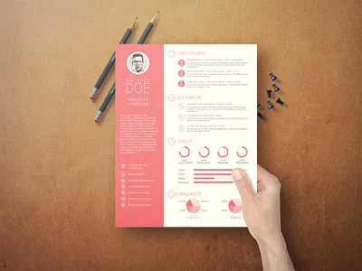 Free Simple Infographic Curriculum Vitae Template curriculum vitae cv design cv template freebie freebies infographic infographic resume photoshop psd resume resume template