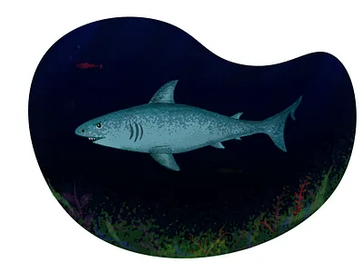 Shark brush dark illustration sea sea creature underwater
