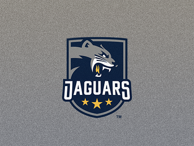 Jaguar Mascot Logo animal logo esport logo illustrator jaguar logo malmoo mascot mascot logo sport sport logo