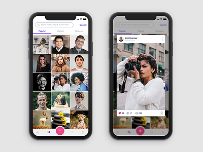 02 cards iphonex photography photoshop sketch ui ux