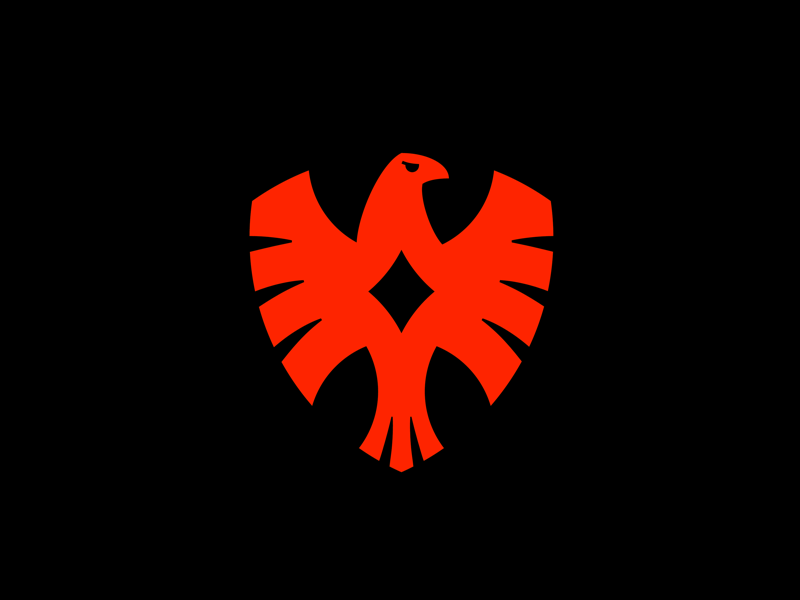 Example of Basic Package: Logo + Guidelines