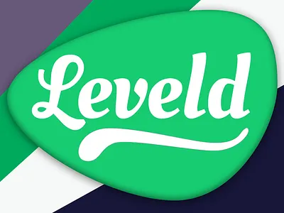 Leveld Ad Network color design icon logo typography