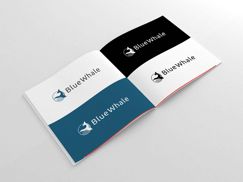 Blue Whale - Brand Book art direction blue whale blue whale foundation brand book branding crypto logo design