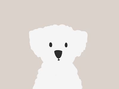 Little Fluff animals dog fluff illustration procreateapp pup puppy