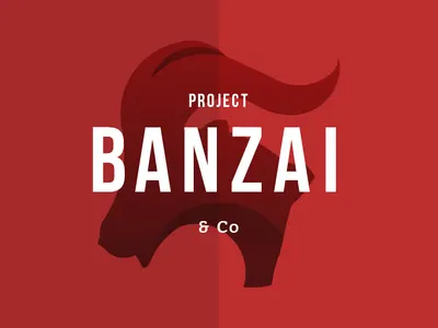 Project Banzai Logo Design abstract art art direction brand brand identity branding branding design branding identity creative design flat graphic graphic design icon identity design illustration logo print print design stationery