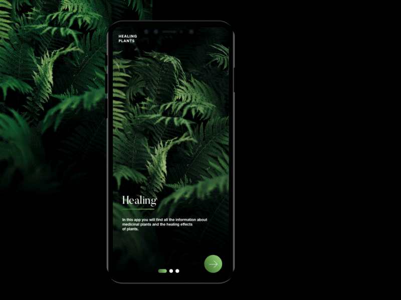 Daily UI Challenge #01 Sign in animation app app animation app apps application app concept branding daily ui challenge dailyui dailyuichallenge design flat minimal plants typography ui user interface ux