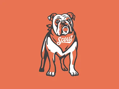 Scout Bulldog branding bulldog design illustration lettering logo mascot scout type