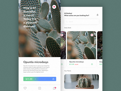Shop Succulents app appdesign design ios mobile plants shop app shop design succulent ui uiux userexperience userinterface ux