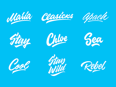 Lettering Collection branding calligraphy design font free hand lettering identity lettering logo logotype script sketch sketches type typo typography
