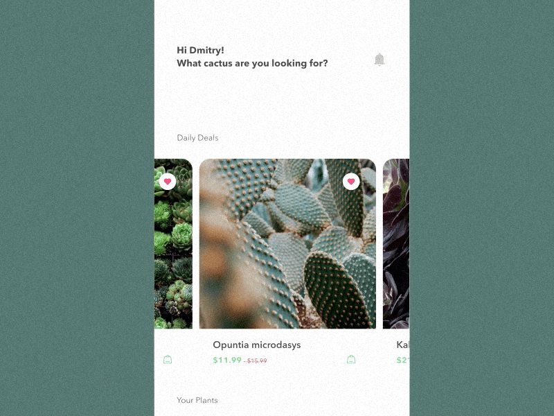 Shop Succulents after affects animation app appdesign figma ios mobile shop succulent ui uiux userexperience userinterface ux