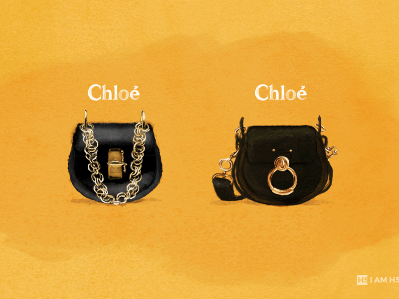 Chloé Bag Illustration "Spot The Difference" colour concept creative design detail digitalart fashion graphic handbags illustration illustrator painting photoshop watercolour