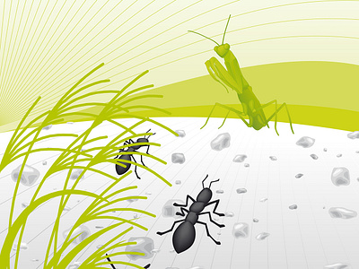 Gottesanbeterin Poster graphic design illustration poster vector