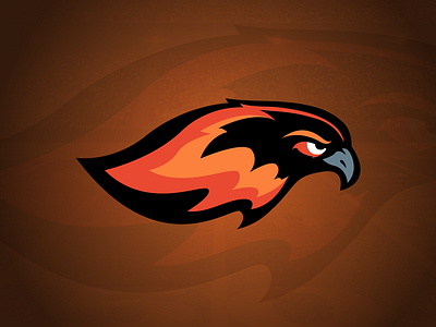 Detroit Firebirds bird logo black branding design fire football illustration logo orange red sports