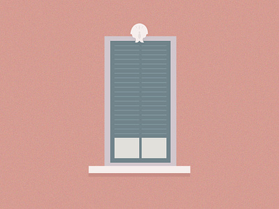 Window 5 balat city dribbble historical home illustration istanbul shot wall window