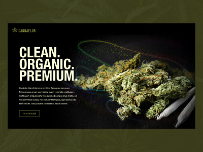 Daily UI 003: Landing Page cannabis website daily 100 challenge daily ui daily ui 003 landing page ui web design web ui