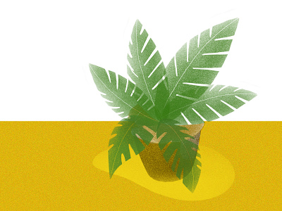 Plants in my balcony adobe adobesketch illustrated illustration illustrations ipadpro